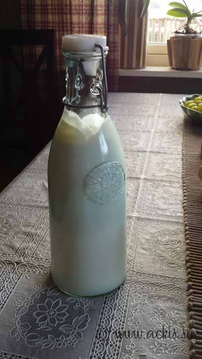 Mjölk direkt från kon
